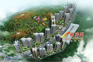 郴房網(wǎng)電商部強(qiáng)勢入駐 組團(tuán)共贏云鼎天闕