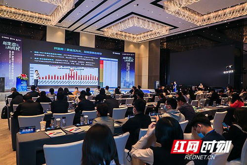 房產(chǎn)湖南站正式啟航，深耕代理服務(wù)助力湖湘地產(chǎn)新篇